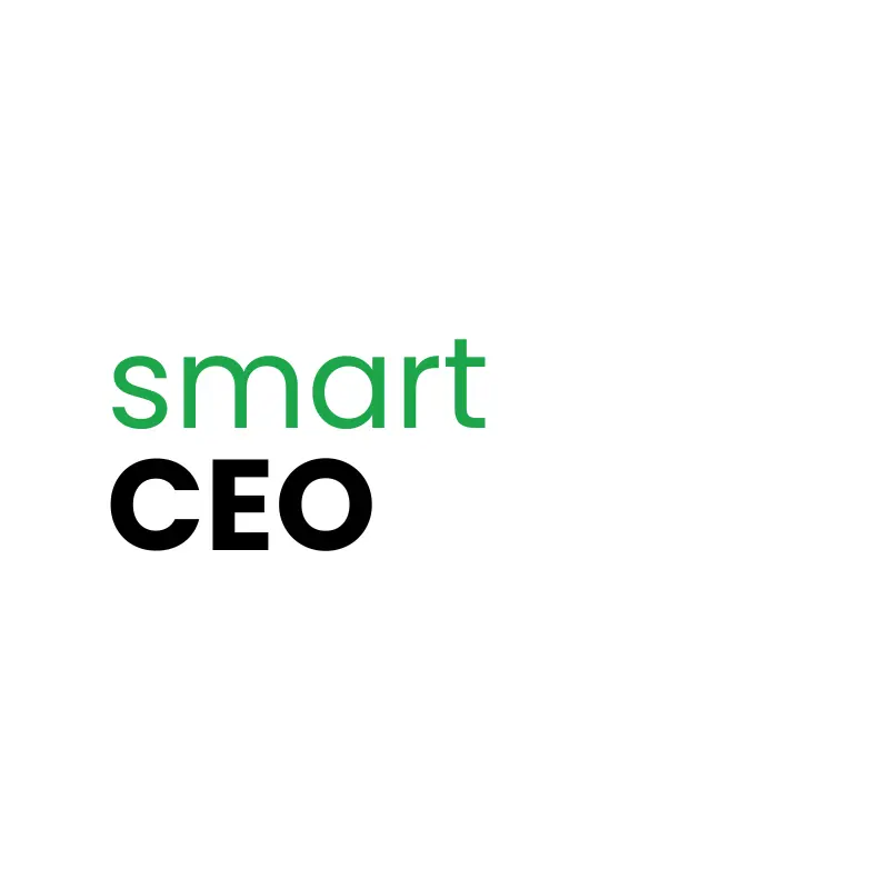 Programme "Smart CEO"