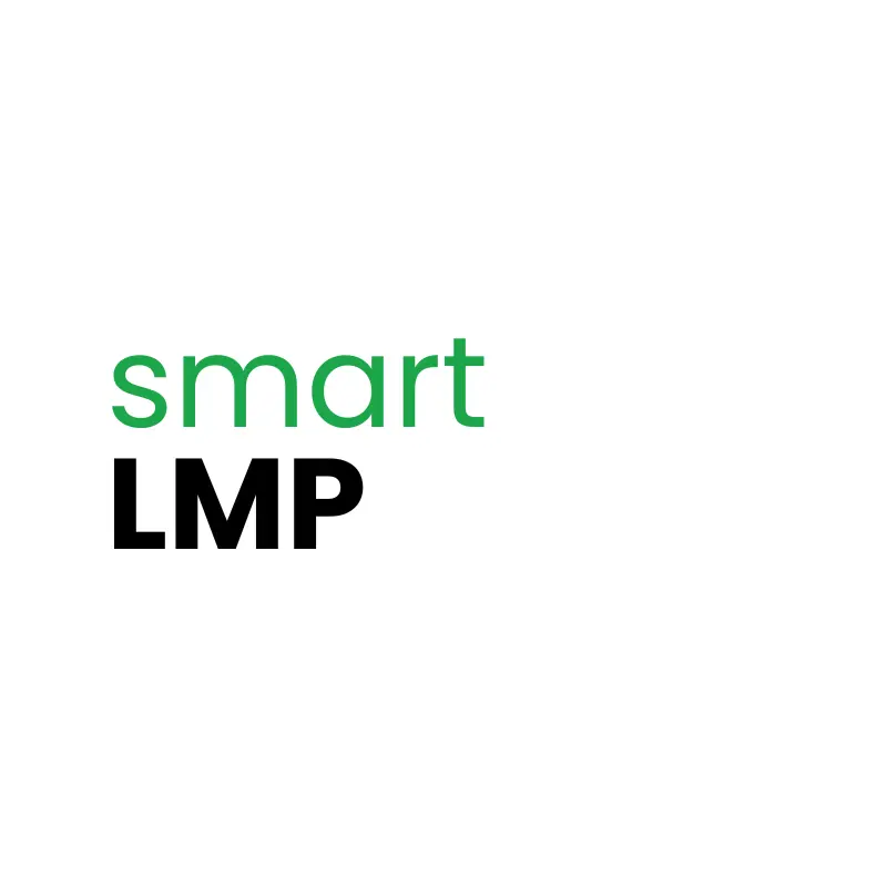 Launch my project (LMP)